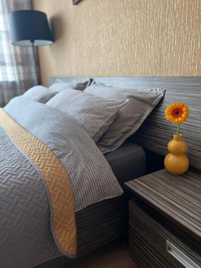 Cozy one bedroom apartment in the city center